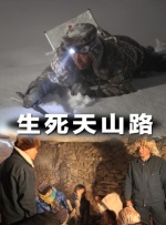 99久久精品免费看国产免费软件